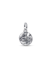 Infinity Snake Medallion Charm