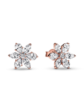 FINAL SALE - Sparkling Herbarium Cluster Stud Earrings