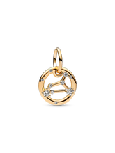 Leo Zodiac Dangle Charm