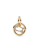 Gemini Zodiac Dangle Charm