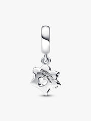 Sparkling Pet Paw Print Dangle Charm