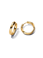 Twisted Hoop Earrings