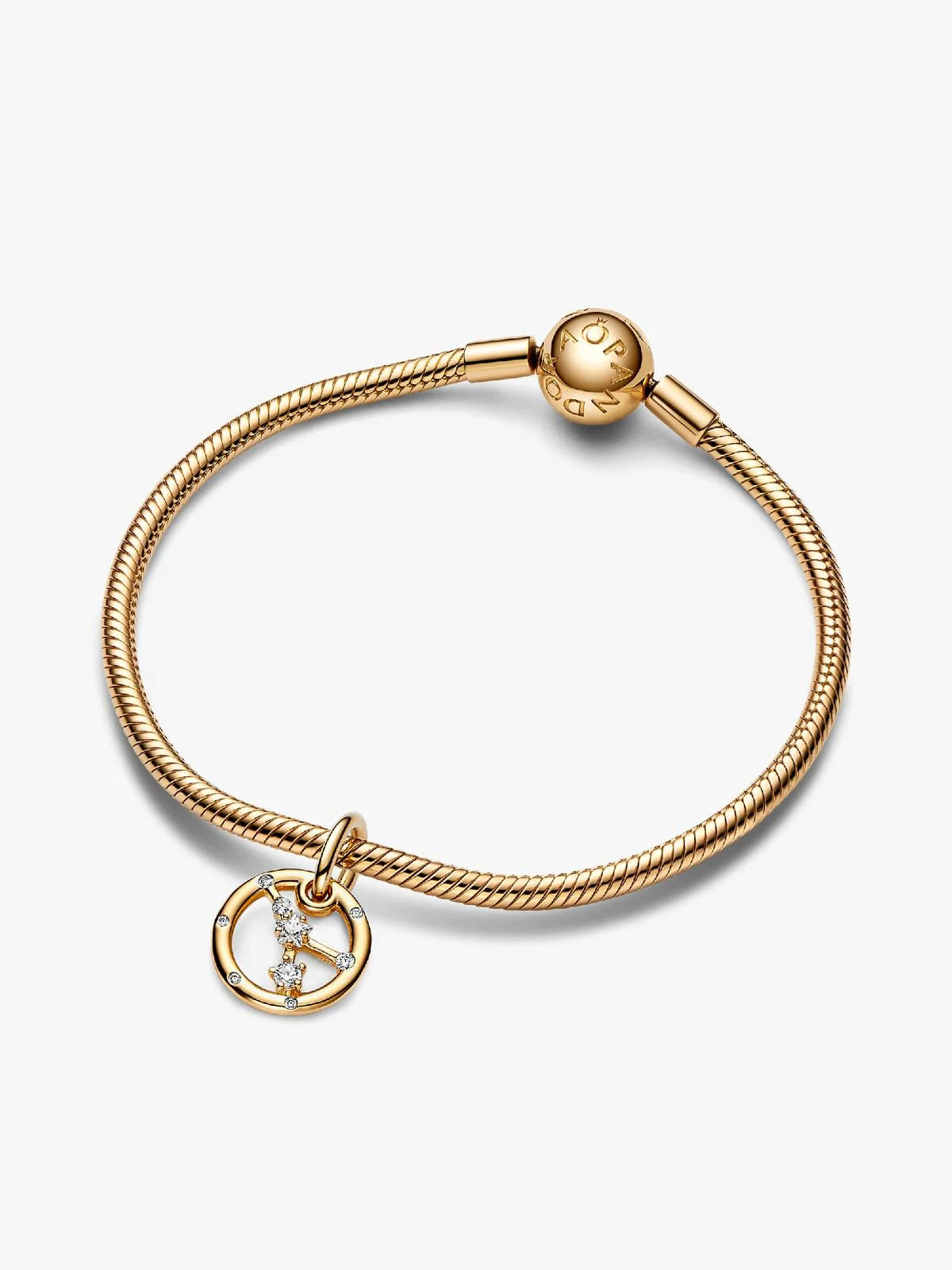 Cancer Zodiac Dangle Charm Bracelet Set
