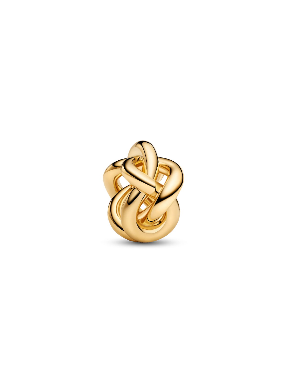 Infinity Knot Charm