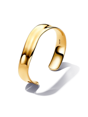 Organically Shaped Broad Open Bangle
