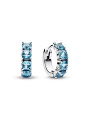 Light Blue Hoop Earrings