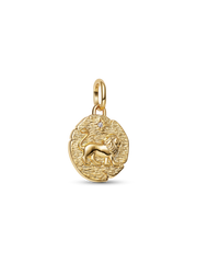 Lion Medallion Charm
