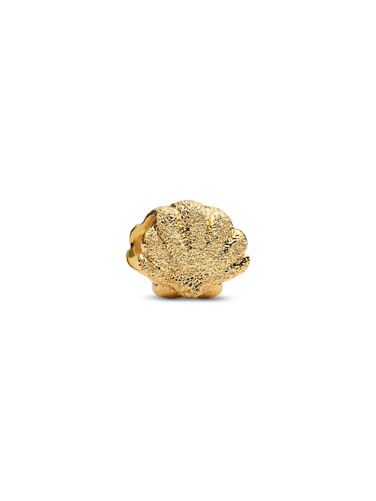 Textured Shell Mini Charm
