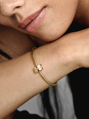 Clear Sparkling Row Clip Charm